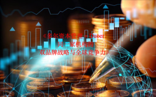 《Duoer 资本管理= 多尔资本管理：同一家机构的双品牌战略与全球竞争力》